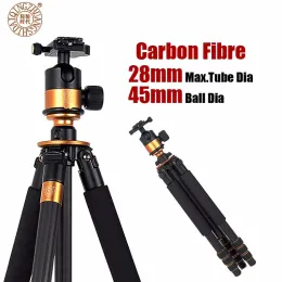 Monopods Qzsd Q1000c Carbon Fiber Professional Tripod 45mm Panoramic Ballhead 28mm Tube 15kg Load Capacity Stand for Dslr Camera