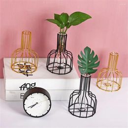 Vases Nordic Iron Flower Vase Plant Holder Metal Pot With Glass Bottle Living Room Desktop Ornament Home Decor Rack