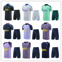 spurs soccer training suit 23 24 25 DELE SON Soccer Jerseys HAM BALE KANE HOJBJERG BERGWIJN LO CELSO men kids kit shirts Short sleeve tracksuit chandal