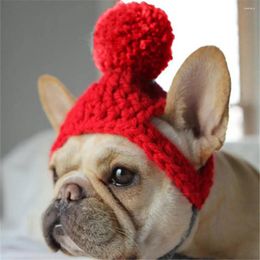 Dog Apparel Winter Pet Hat Fashionable Warm Cozy With Soft Ball Stylish Accessories For Cats Dogs Cute Dress