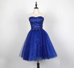 Royal Blue Lace Tulle Ball Gown Evening Dress Lace Up 2018 Short Party Dress Elegant Real Pictures4183459