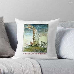 Pillow 1913 Women's March On Washington - Votes For Women Circa SuffrageThrow Decorative Covers Sofa