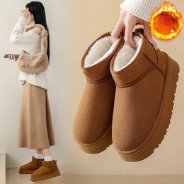 Boots Winter Snow Fur Ladies Tube Thickened Cotton Warm Shoes Student Women Short