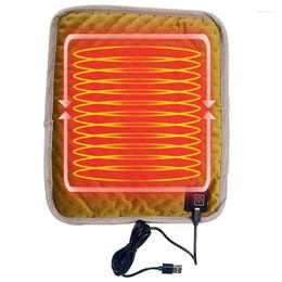 Blankets Heat Pad Universal Heating Blanket Single 12''x10'Electric With 1.5m Extension Data Cable Warm Cushion For