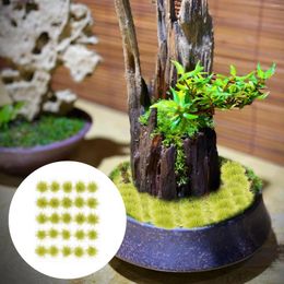 Decorative Flowers 1 Box Simulation Grass Cluster Decor Sand Table