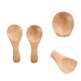 Dinnerware Sets 2 Pcs Short Handle Spoon Tea Spoons Wooden Teaware Accessories Milk Powder Mini