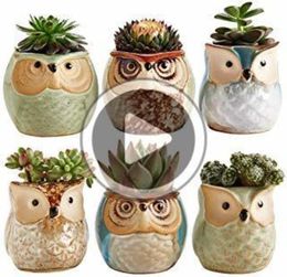 Owl Pot ramic Flowing Glaze ase Succulent Plant Pot Cactus Flower Pot Container Planter onsai Pots wit A ole Perfect Amy4685669