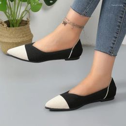 Casual Shoes Women's On Sale 2024 Fashion Slip Flats Autumn Pointed Toe Mixed Colours Net Cloth Low-heeled Flat Low Heels