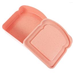 Plates Sandwich Box Small Containers Sandwiches Snack Outdoor Holder Case Plastic Sealable Child