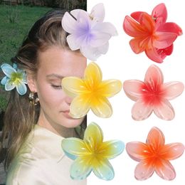 Retro bunte Haarklaue 8cm Hawaiian Egglossom Beach Urlaubsstil Haarklammern Blume große Haarklaue Haarnad für Frauen Mädchen Accessoires Großhandel 012