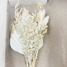 Decorative Flowers Dried Flower Bouquet For Room Cake Decor White Tail Grass Palm Wedding Garden Party Diy Boho Home Decoration