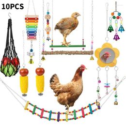 Other Bird Supplies 10PCS Chicken Toys Chain Set Mirror Bell Toy Fruit Feeding Swing And Feeder Net Grinding Teeth Color Ran