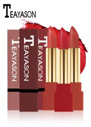 TEAYASON Brand Waterproof Matte Lipstick Pen For Women Long Lasting Batom Dark Red Velvet Balm Rouce a Levre Natural Makeup Lip St6747177