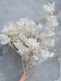 Decorative Flowers White Butterfly Orchid Dried Flower Preserved Natural Fresh Welcome Bean DIY Boho Wedding Bouquet Home Decor Floral