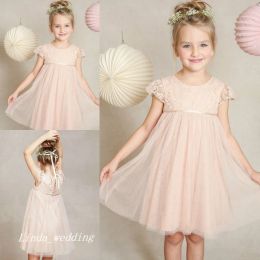 Dresses Free Shipping Cute Short Pink Flower Girl Dresses High Quality Tulle Lace Spring Pretty Kids First Communion Dress For Girls