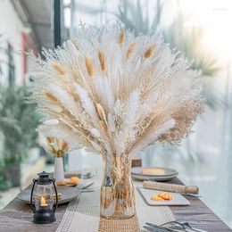 Decorative Flowers Flores Preservadas Naturales Natural Dried Pampa Grass Bouquet Boho Home Decor Phragmites For Wedding Ramadan Decoration