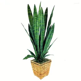 Decorative Flowers Artificial Snake Plant In Basket
