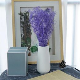Decorative Flowers Wholesale Dried Preserved Small Gypsophila Flower Million Star For Wedding Party Home Table Decoration