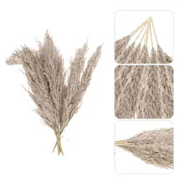 Decorative Flowers Pampas Grass Stems Preserved Reed Flower Wedding Decorations For Tables Natural