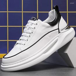 Casual Shoes Korean Style Men's Platform Lace-up Flats Shoe Brand Designer White Sneakers Youth Street Original Leather Footwear