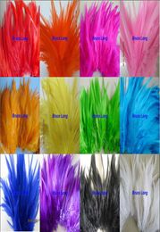 Mix Colors Rooster Feathers Pheasant Feather DIY Necklace Earring Hair Hat Mask Decor Feather Trim Boa 1000pcs 46Inches 1015CM6598520