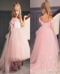 Blush Pink Princess Flower Girls Dresses Beaded Appliques Girl Dress For Wedding Party Birthday Party Dresses Baby Pageant Gowns C9374994