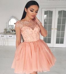 2019 Glamorous Sheer Homecoming Dress A Line Long Sleeves Short Juniors Sweet 15 Graduation Cocktail Party Dress Plus Size Custom 4761580