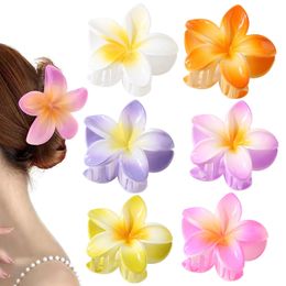 Gradientenfarbene Hawaii Frangipani Haarklaue Plastik 8cm Eierblume Krabben Haarclip für Frauen Reisen Strand Neue beliebte Haarfänge 011-2
