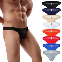 Underpants Sexy Men Underwear Mesh Low Waist Soft Breathable Knickers Short Briefs Ropa Interior Cueca Masculina