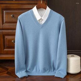 Men's Sweaters Cashmere Blend Sweater Clothing Spring Autumn Pullover Knitwear Casual Loose V-neck Knitted Woolen Undershirt