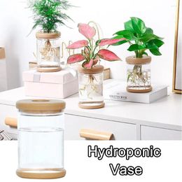 Vases Hydroponic Plant Plastic Vase Self-Absorbing Water Pot Office Tabletop Feng Shui Transparent Bottle Ornaments Ornament