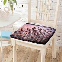 Pillow Lake Reed Sunset Print Chair Cotton Memory Foam Removable Coat Chairs Decorative For Studio Library Restaurant Decor