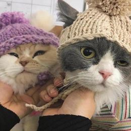 Dog Apparel Winter Pet Hat Warm Cosy With Soft Ball Stylish Accessories For Cats Dogs Cute Hairball Dress Weather