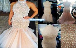 2019 New Halter High Neck Prom Dresses Long Coral Champagne Open Back Top Pearls Rhinestones Tulle Mermaid Party Evening Pageant D3516325