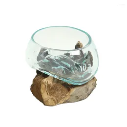Vases Unique And Eye-catching Glass On Driftwood Terrarium For Artistic Touch Elegant Decoration