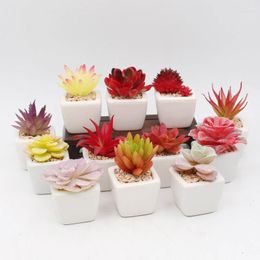 Decorative Flowers Simulated Plant Sedum Versadense Artificial Succulent Plants Bonsai Random Variety Without Flower Pot