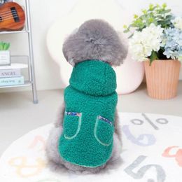 Dog Apparel Soft Double Layer Pet Autumn Clothes Warm Pastoral Style Cotton Jacket Rocking Velvet Comfortable Two-leg Coat Indoor