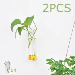 Vases 2x Glass Tube Vase Plant Holder Containers Hydroponic Wall