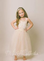 Dresses The Evangeline Blush, Ivory, chiffon, lace, tulle, Flower Girl Dress, girls toddler dress, ages 1T, 2T,3T,4T, 5T, 6, 7, 8, 9/10,