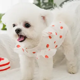 Dog Apparel Summer Leisure Cute Dress Skirt Strawberry Patterns Puppy Cat Princess Thin Breathable Pet Clothes With Bow