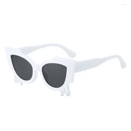 Sunglasses 2024 Cross-border Personality Cat Eye Fashion Ins Devil Tears Point Diamond Female