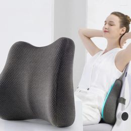 Pillow Office Seat Lumbar Long Sitting Waist Protector Solid Color Practical Car Memory Cotton Chair Support