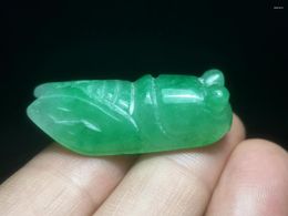 Decorative Figurines Chinese Natural Green Jadeite Jade Hand-carved Cicada Pendant Gift Collection