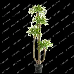 Decorative Flowers Simulation Plants Green Potted Dragon Blood Sago Cycas Indoor Landscaping Floor-Standing Decorations Window Decoration