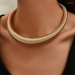 Choker Fashion Necklaces For Women Simple Spring Design Metal Chunky Necklace Collar