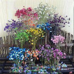 Decorative Flowers 60pcs Dried Pressed Absorbed Baby's Breath Flower Plant Herbarium For Jewellery Po Frame Phone Case Bookmark Scrapbook DIY