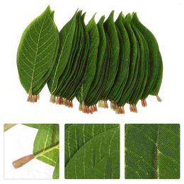 Decorative Flowers 50 Pcs Artificial Magnolia Leaves Leaf Scene Decor Plant Pu Flower Arrangement Material