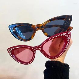 Sunglasses Cat Eye Rhinestone Plastic Women Vintage Small Leopard Men Sun Glasses Mirror Retro Female UV400