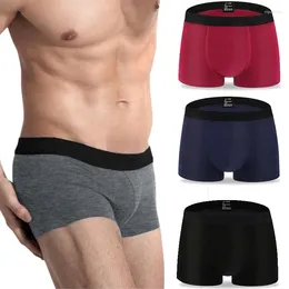 Underpants Boxer Men Underwear Mens Boxers Homme Man Soft Shorts Sexy Modal Cotton Panties Cuecas