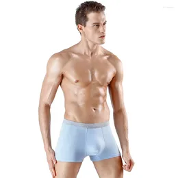 Underpants Bamboo Underwear Calzoncillos Hombre Sexi Ice Silk Men Boxer Bielizna Cueca Masculina Calzoncillo Slip Mens Boxers Homme Bragas